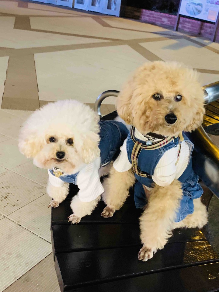 Lucky& Money