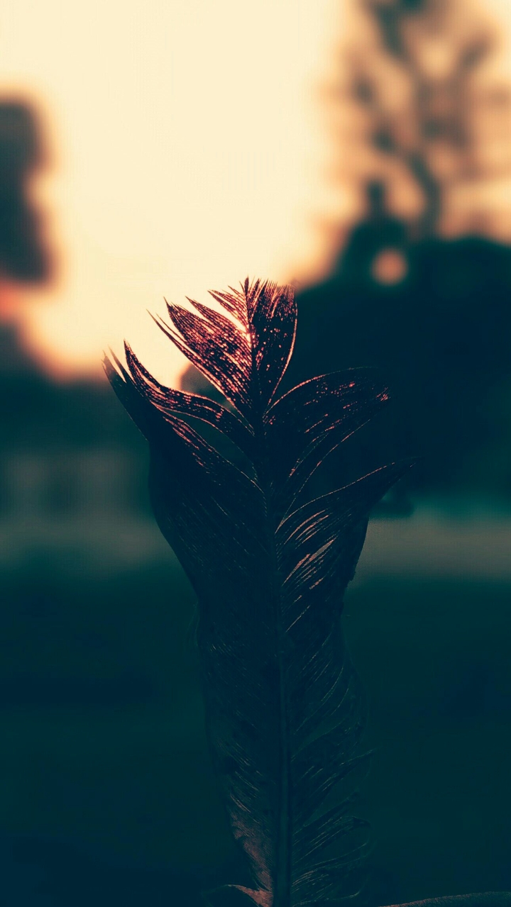 peace