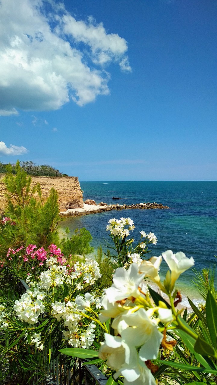 Coast