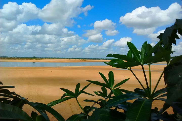 Mahanadi river