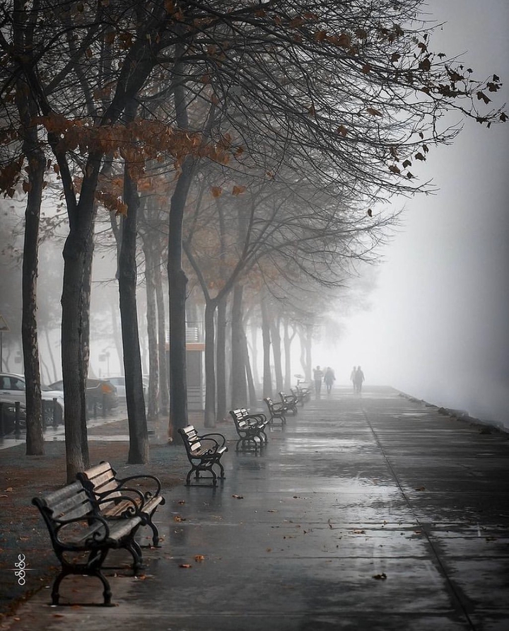 alone