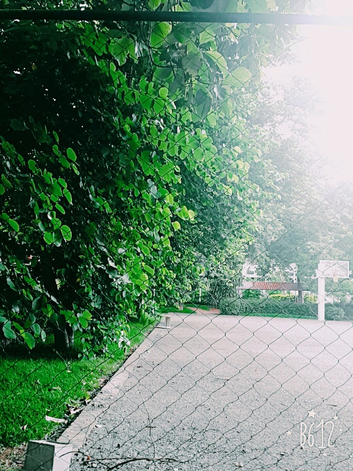 basketball court