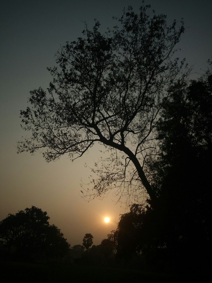 #ari_clicked