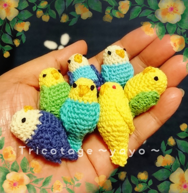 parrots