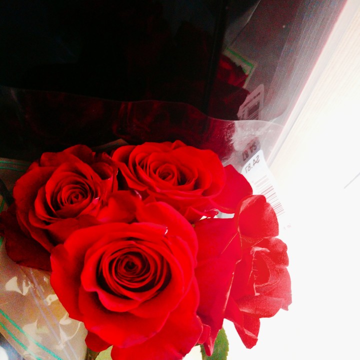 elegant Roses