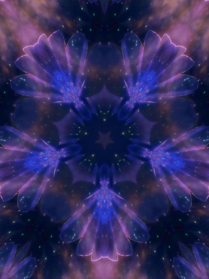 Thoughts in Bloom kaleidoscope