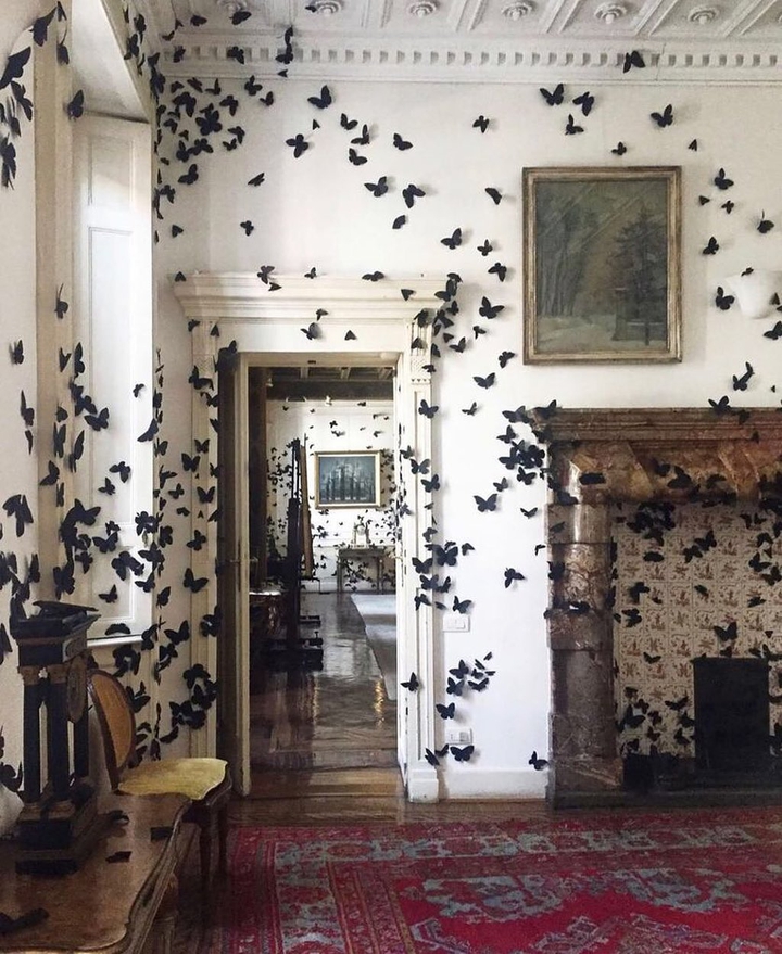 butterflies