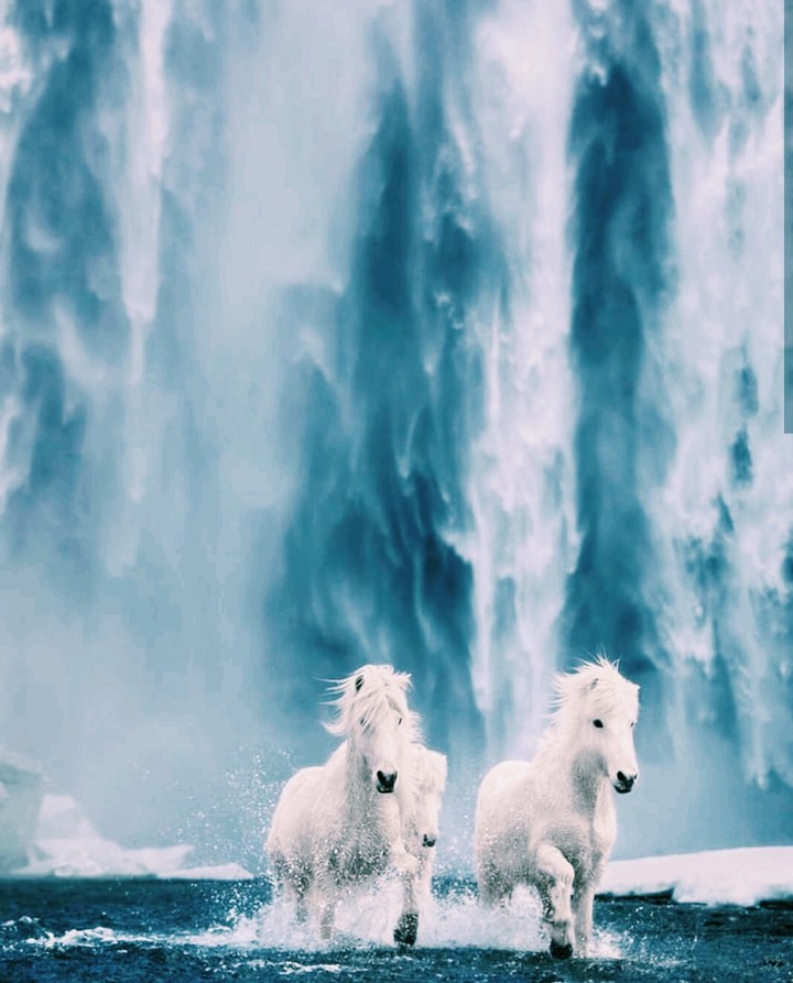 @travelling_nature1 #instagram