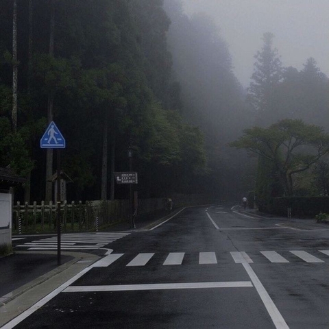 tapety landscapes, fog