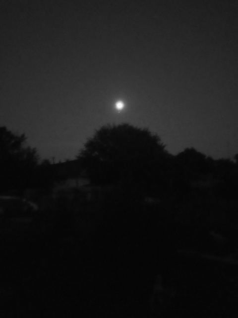 ANOTHER style little star and moon