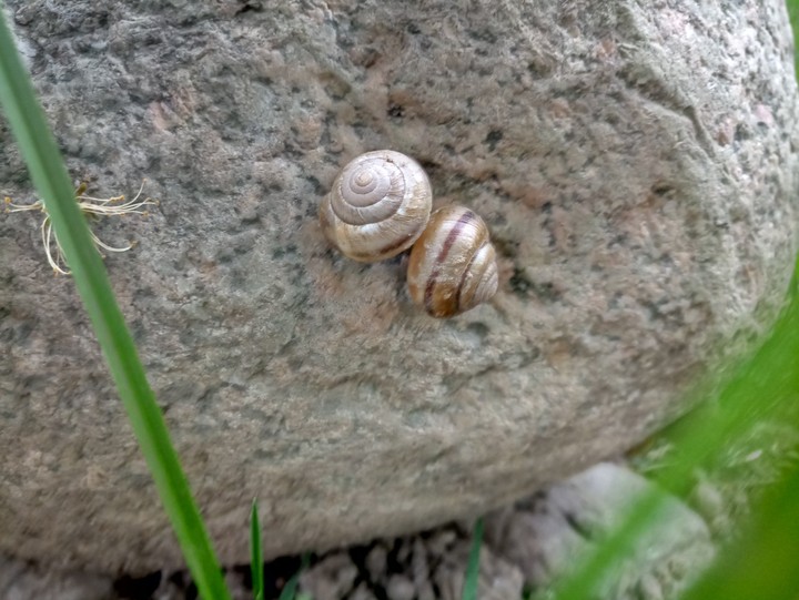 Lovers
