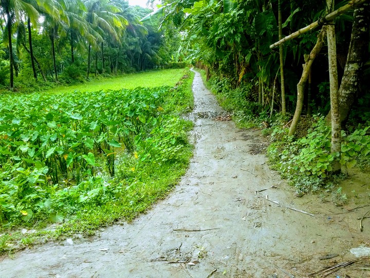 Village Soil Road