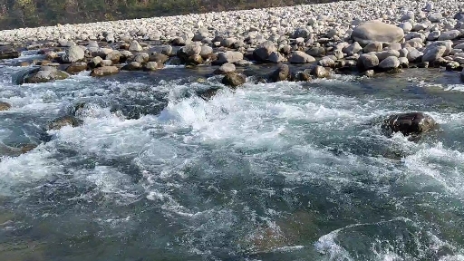 kosi river at Jim Corbett