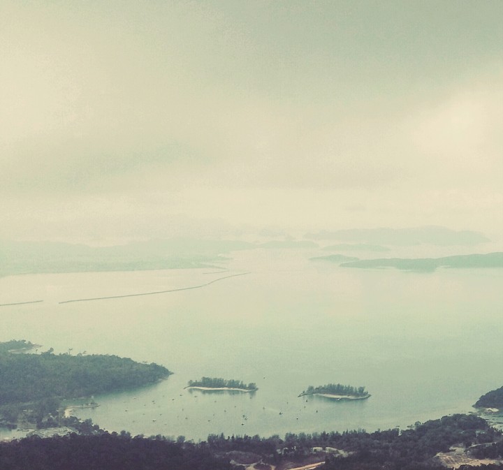 Misty Morning