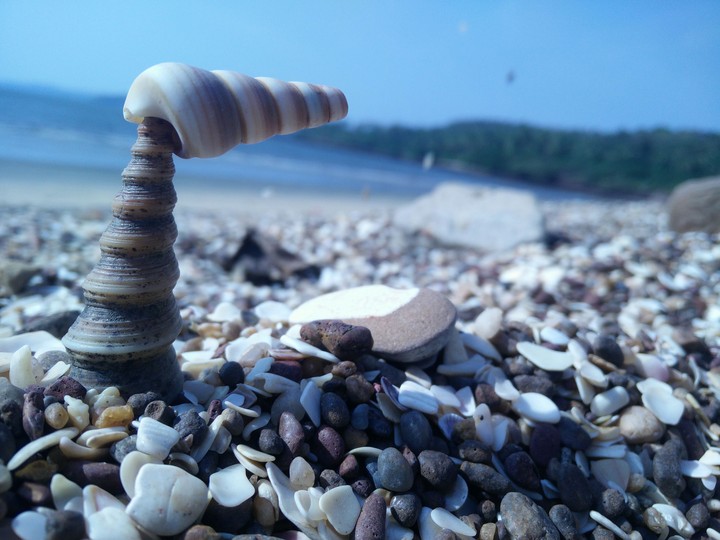 Peace in Nature at Bambolim Beach, Goa, India