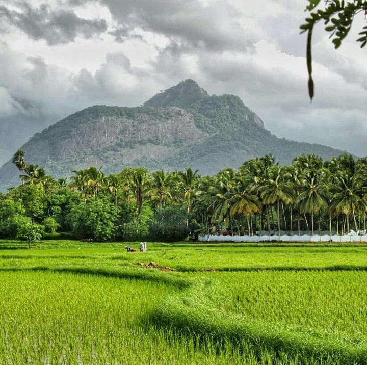 nature beauty
