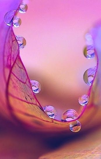 drops