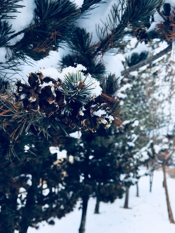 winter