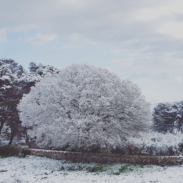 winter