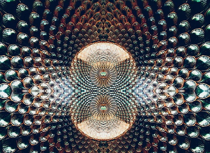 Heart peacock
