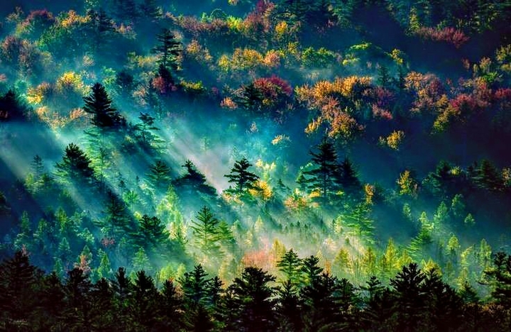 Nature