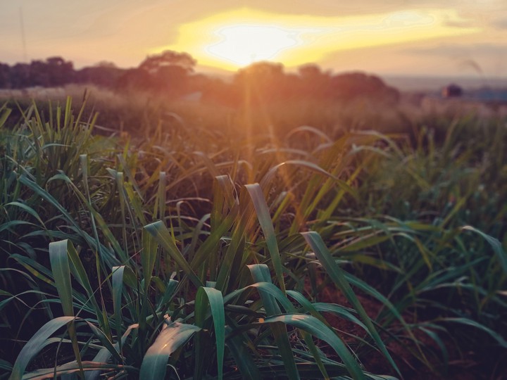 Nature's beauty
