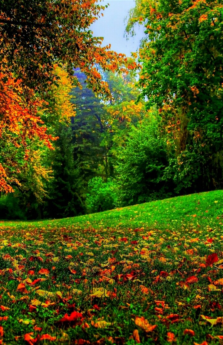 nature