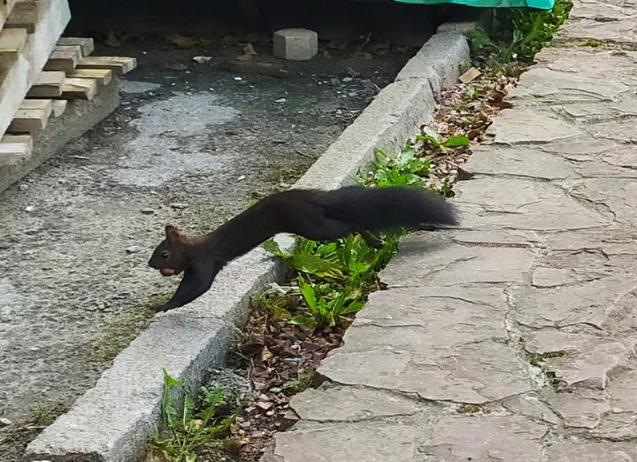 ?