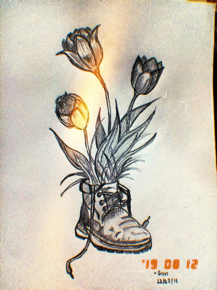 sketchlife