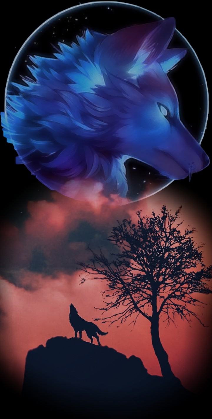 Wolves