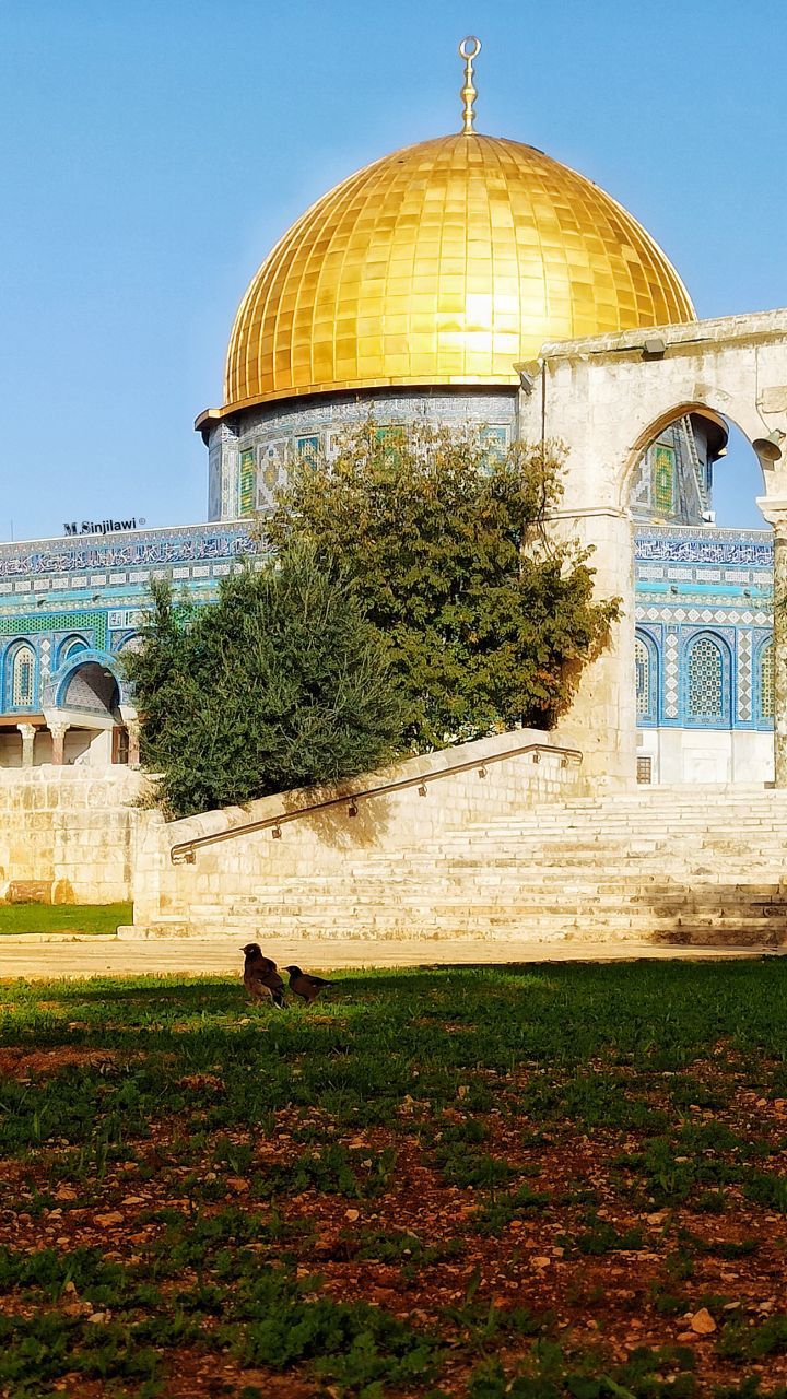 free palestine