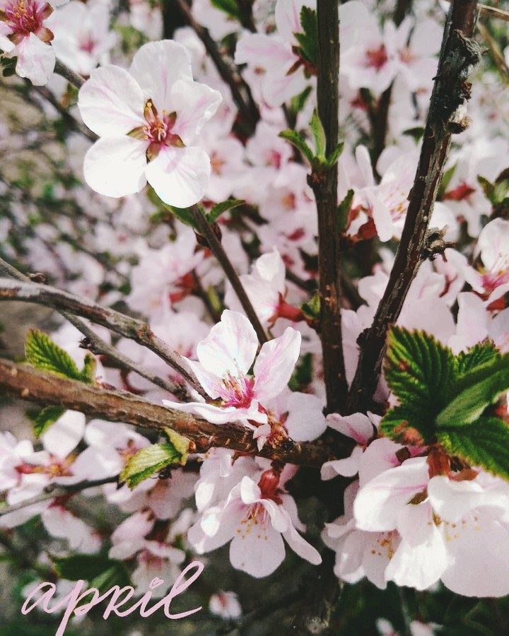 April