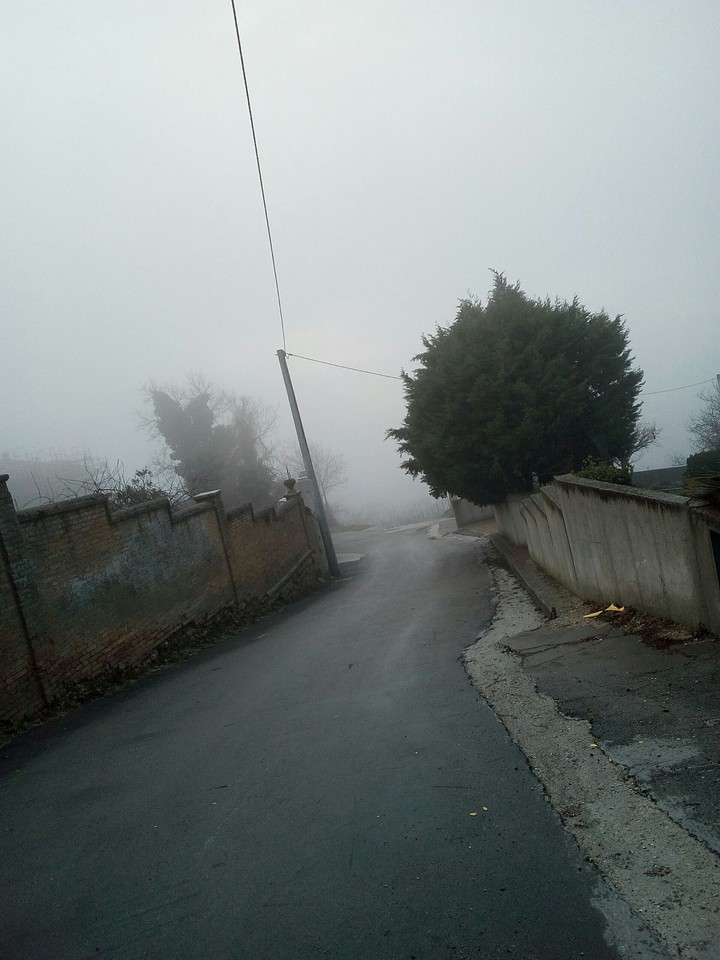 nebbia