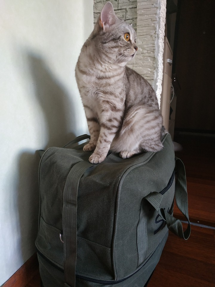 Джемик