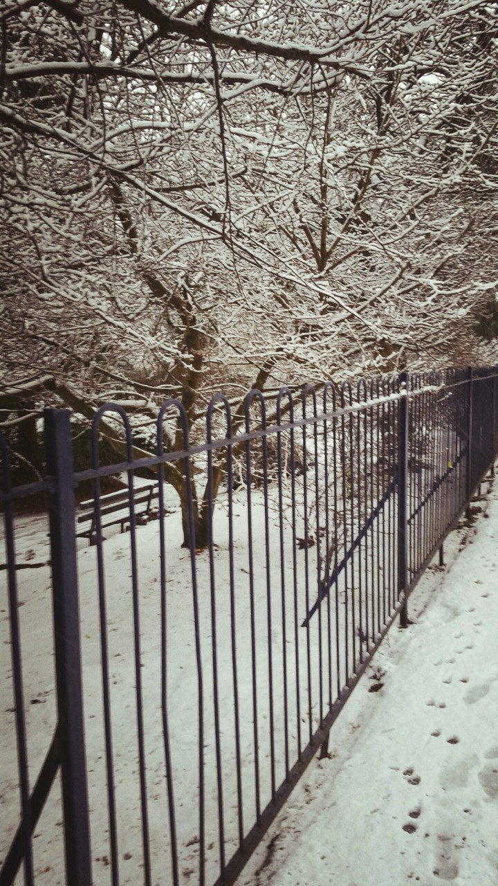 a winter's day walk