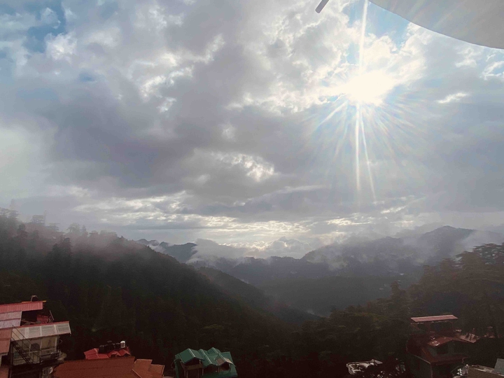 Shimla Dairy