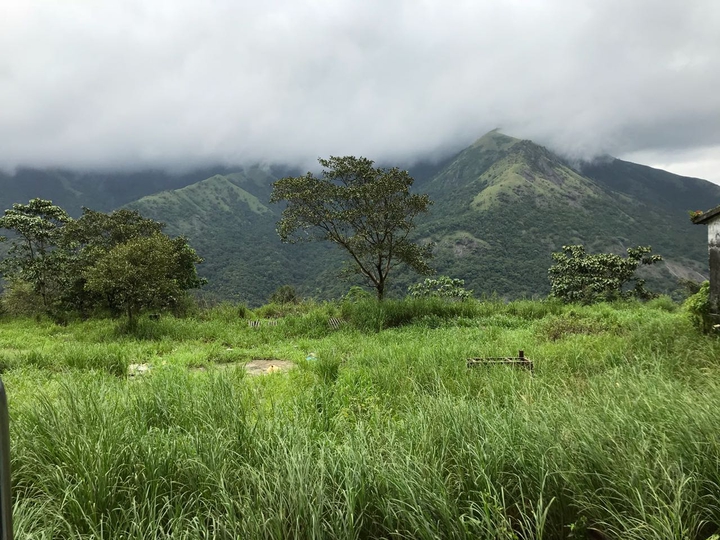 Grasslands