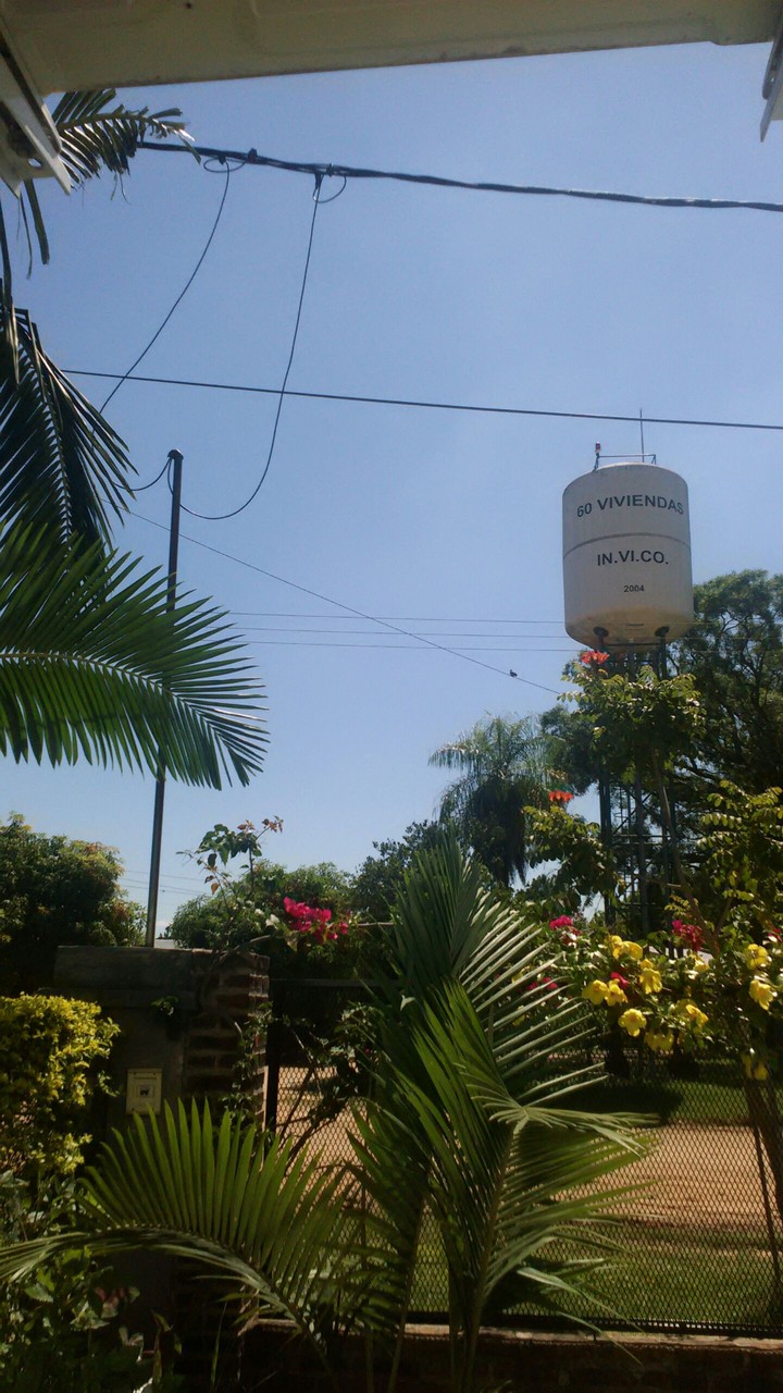 pajarito