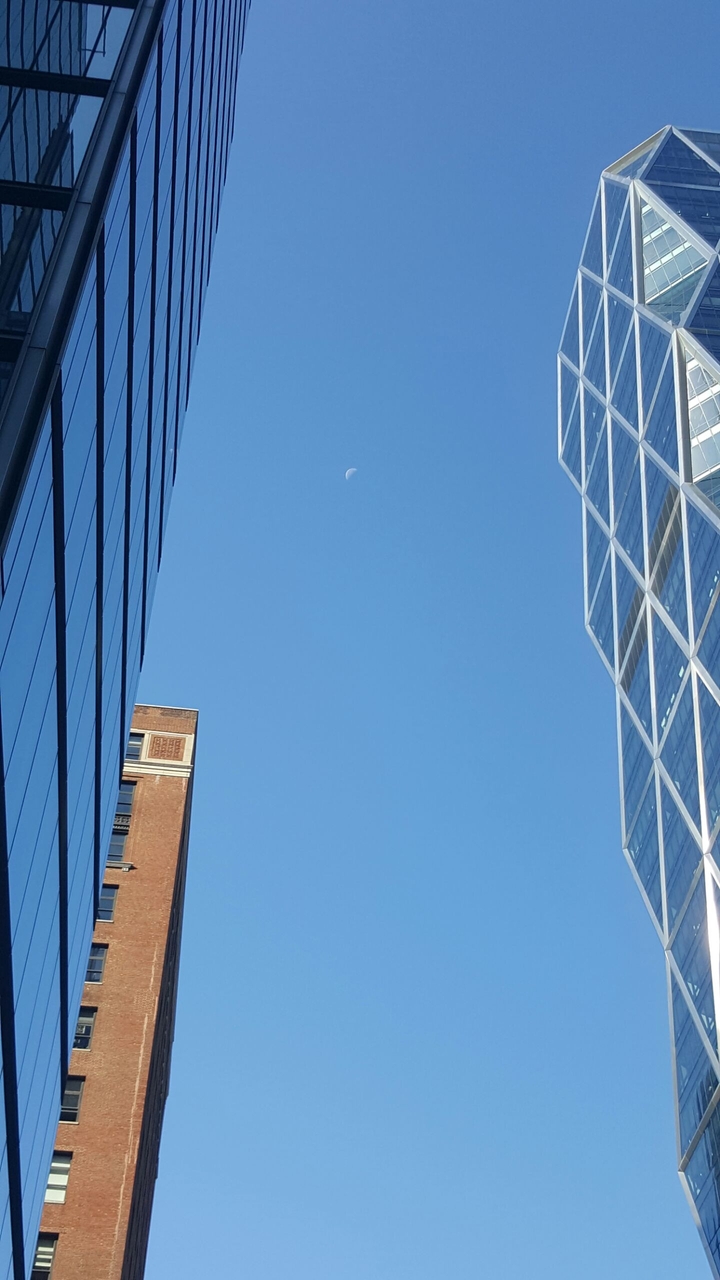 lil moon