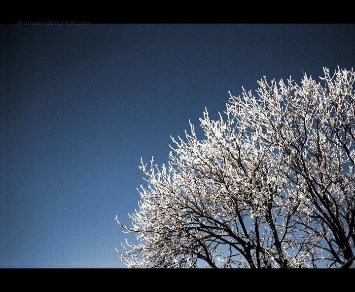 hoarfrost.