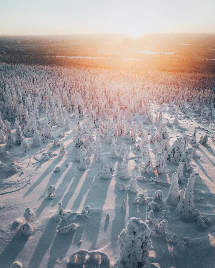 winter morning