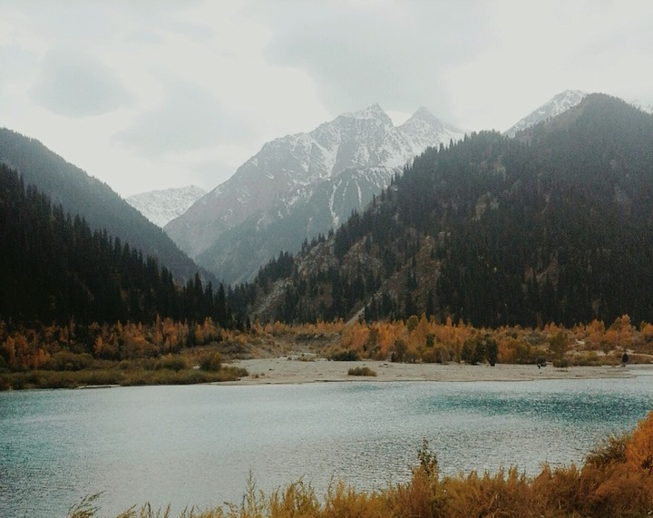 красота:-)