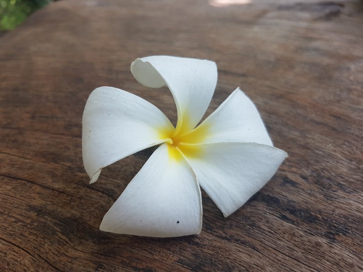Fleur de tiare