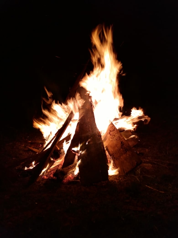 Fire