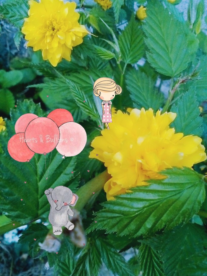 DreamLand^_^