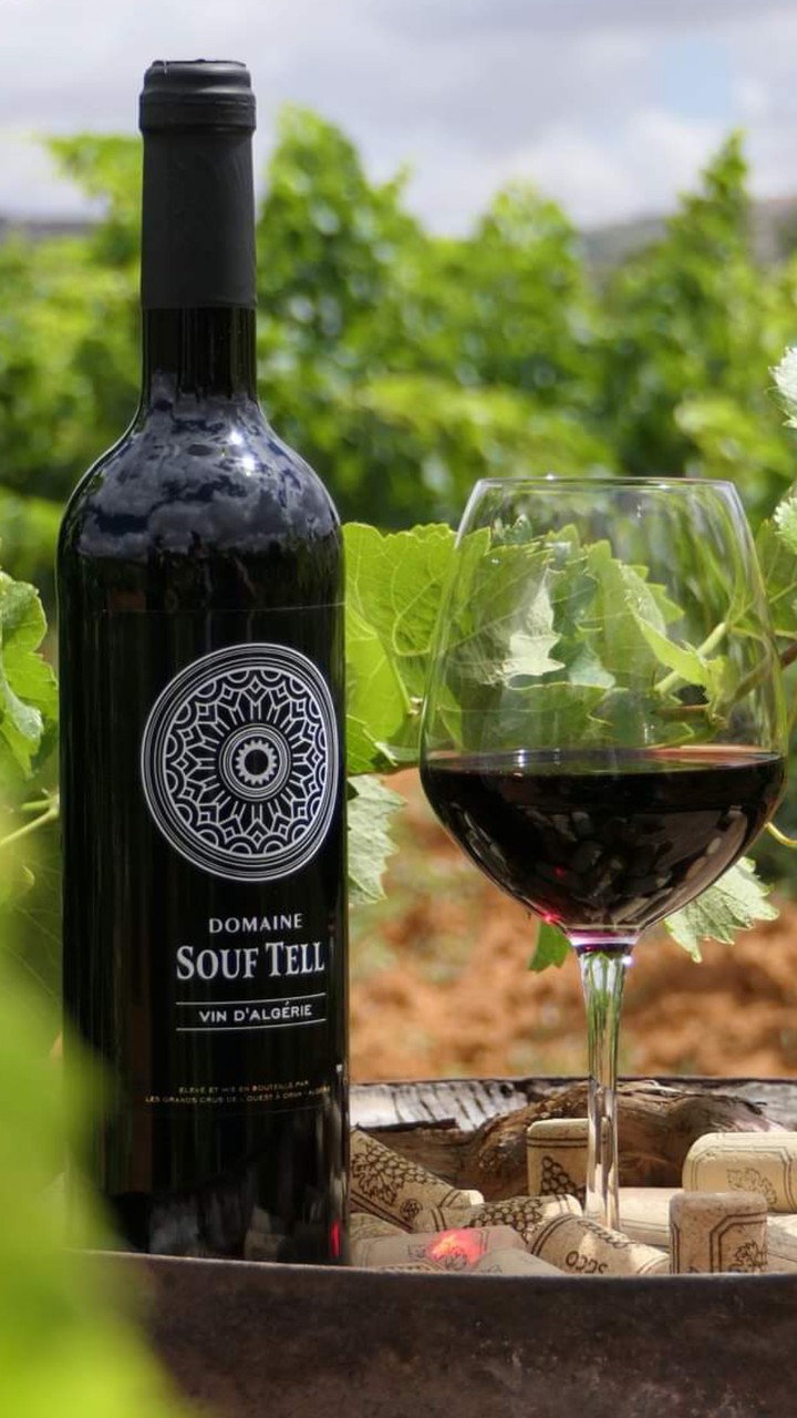 wine