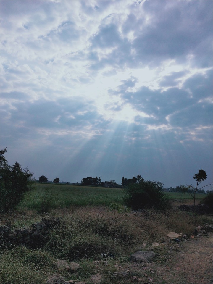 sunshine