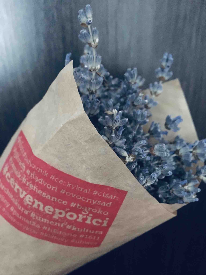 Lavender love