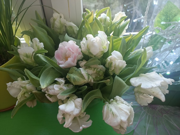 flowers