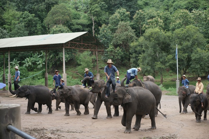 Travel